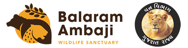 Ujani Nature Education & Ecotourism Capmsite Balaram